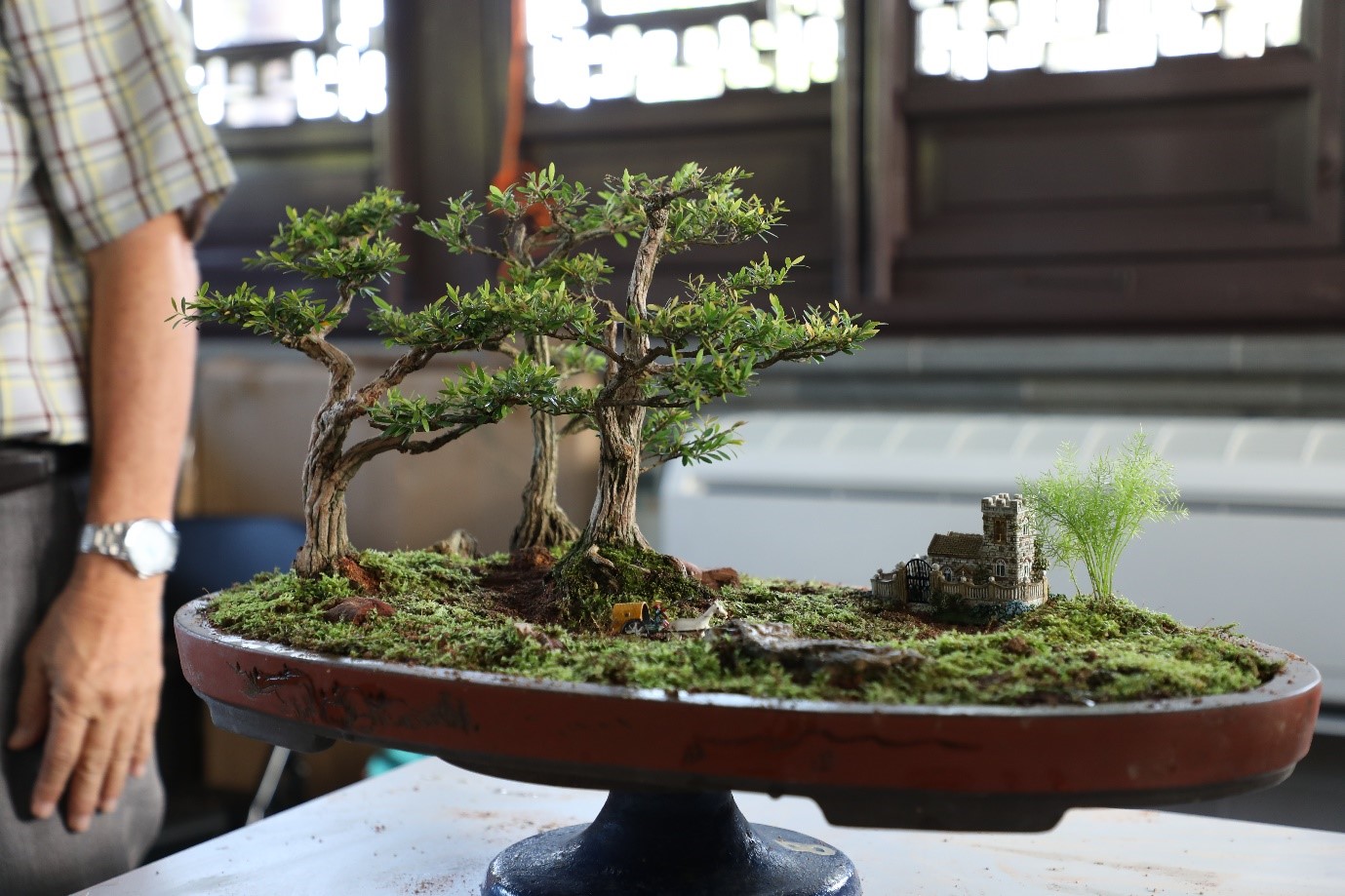 Landscape Bonsai