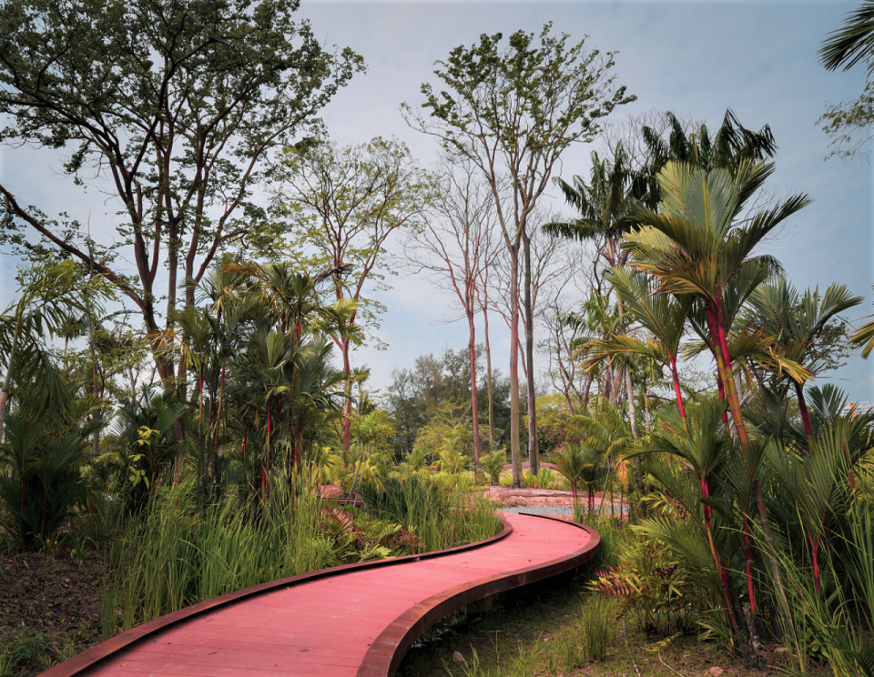 Rasau walk landscape