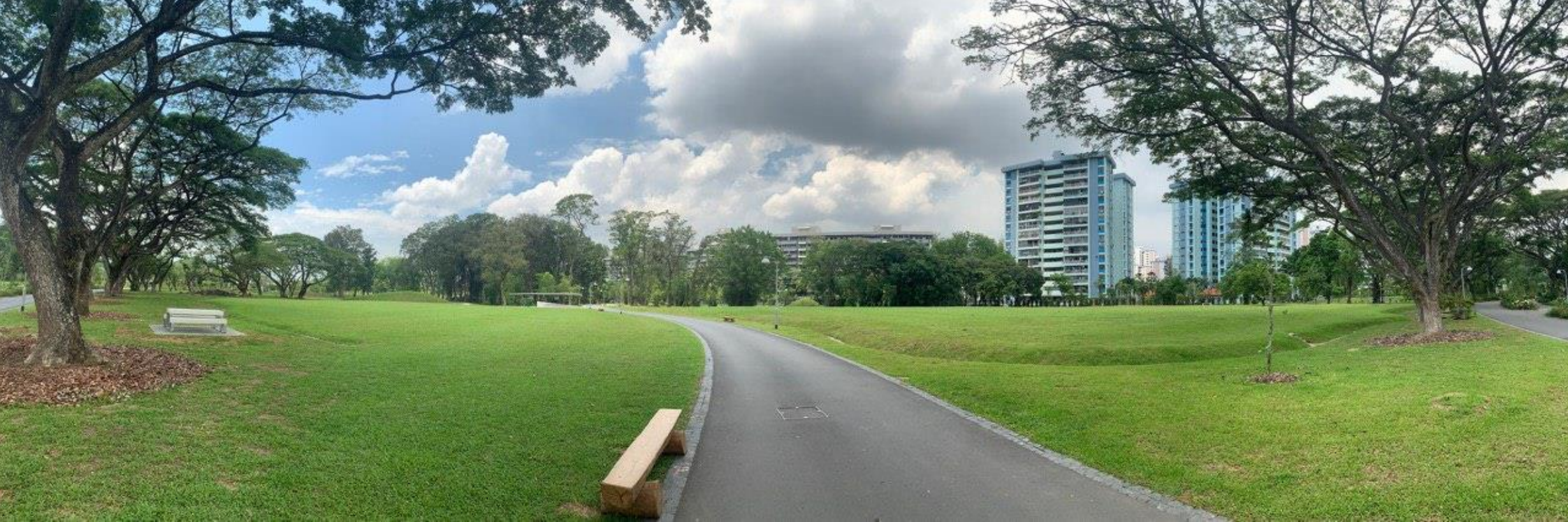 Butterfly Field