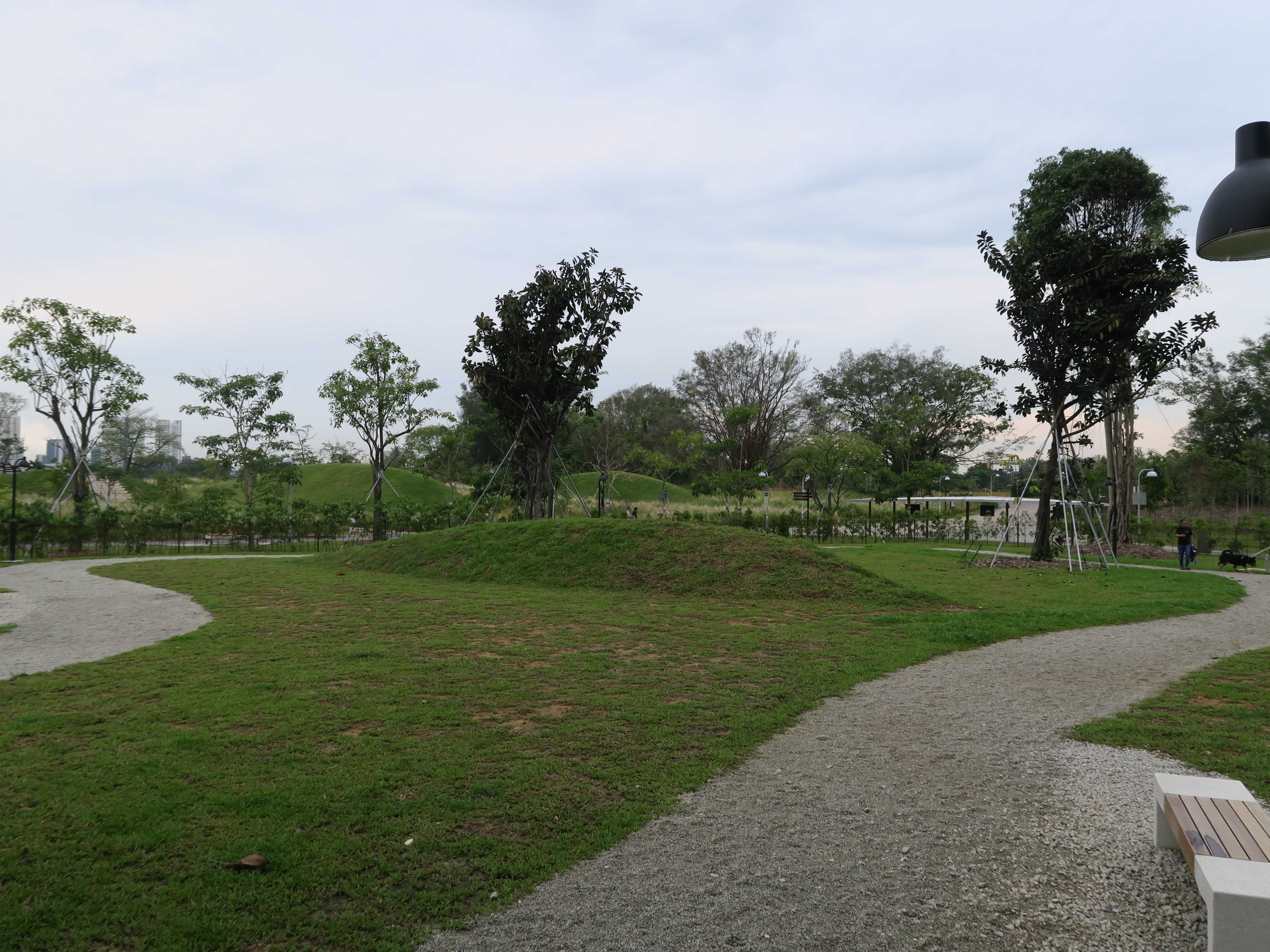 Dog Run banner