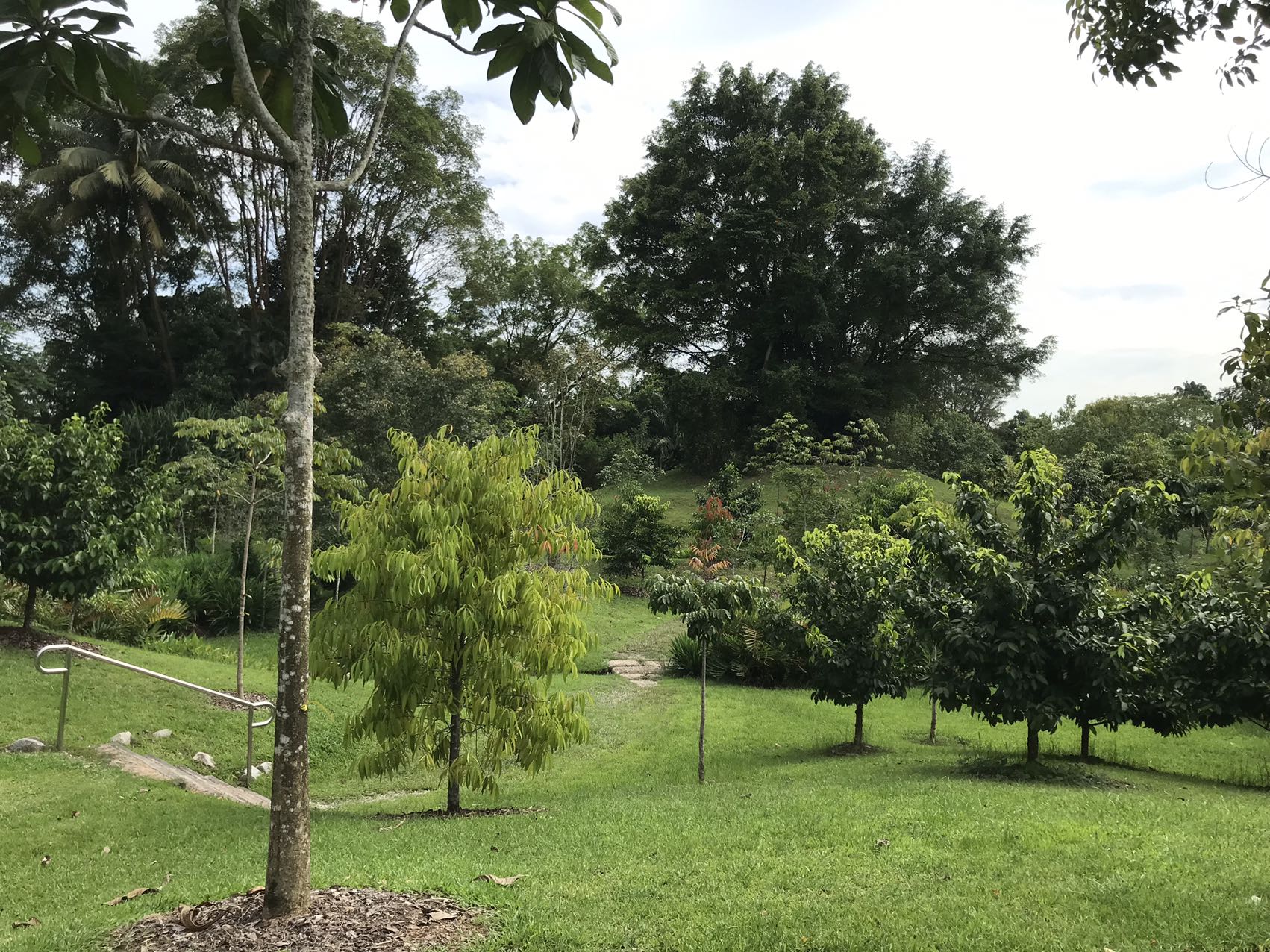 June Biodiversity Tour Picture