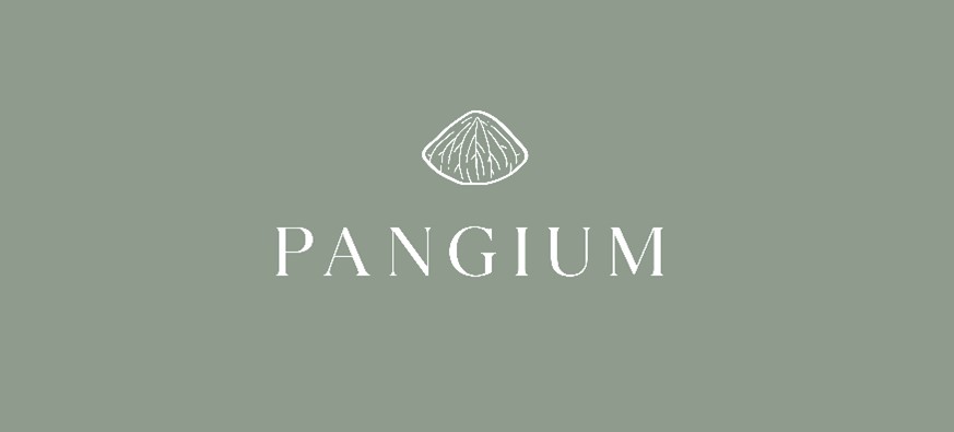 Pangium Logo