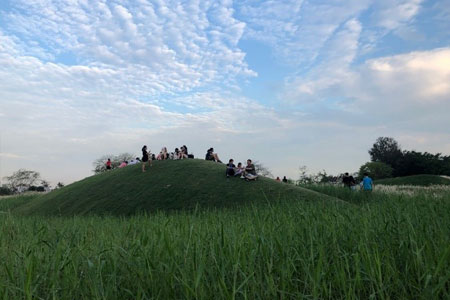 Grass Mounds