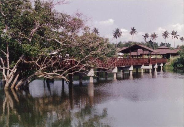 Complete Main Bridge