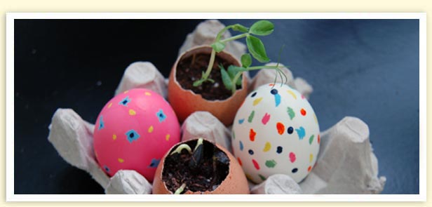 Get Cracking with Eggshells in Your Garden