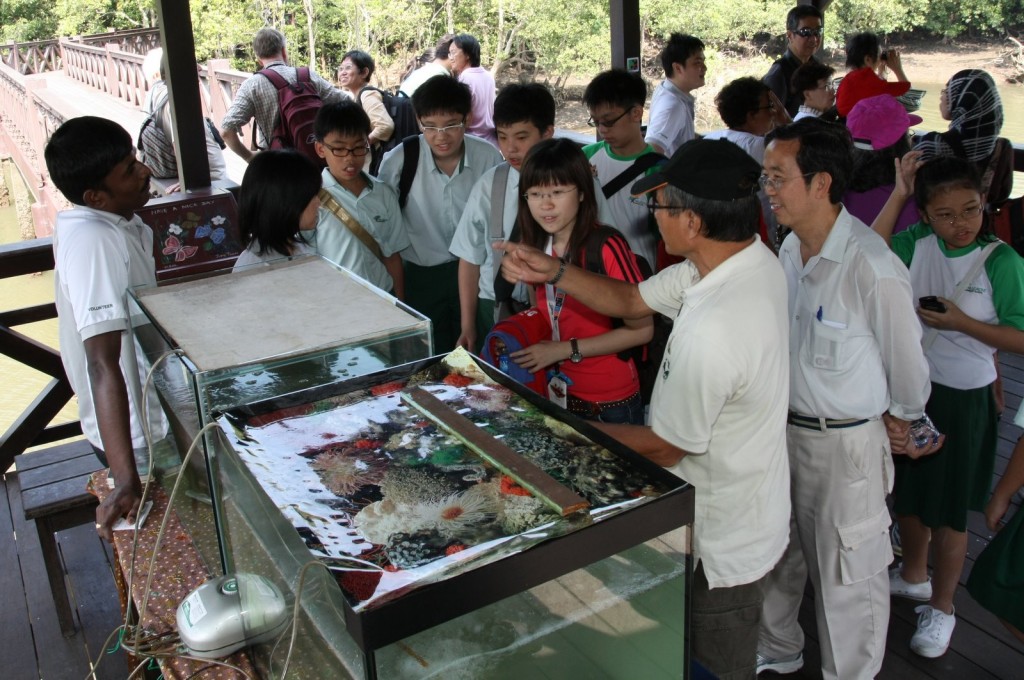 Celebrating World Wetlands Day