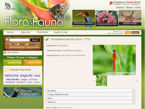 Introducing Flora&FaunaWeb