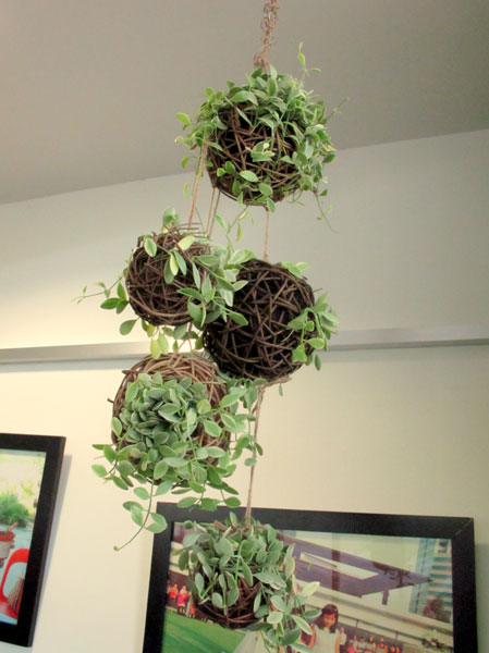 Create Your Own Hanging Gardens
