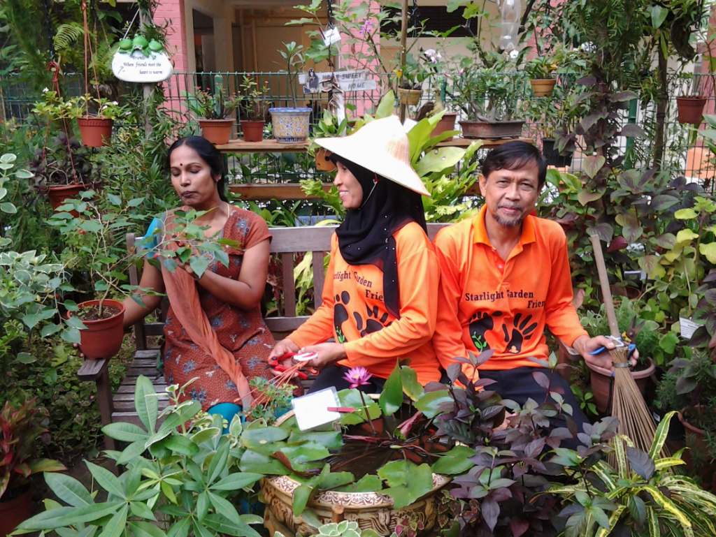 Herbology in the Sun