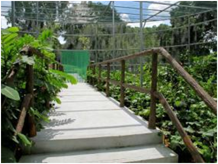 Butterfly Paradise in the Heartland