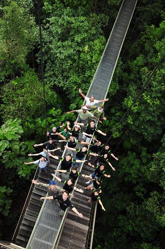 The Fragile Rainforests of Singapore