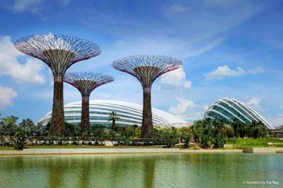 Gardens by the Bay: A Garden for Singaporeans