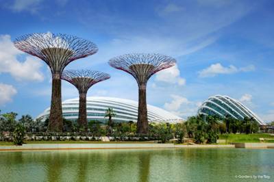 Gardens by the Bay