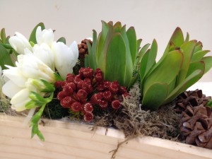 Creating Your First Christmas Flower Arrangement