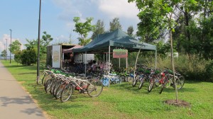 Cycling Amid Nature