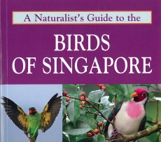 Book Review:A Naturalist’s Guide To The Birds Of Singapore By Yong Ding Li, Lim Kim Chuah and Lee Tiah Khee