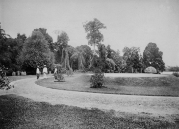 Singapore Botanic Gardens