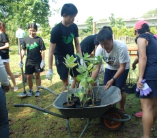 Enhancing Butterfly Habitats at Tampines Eco Green
