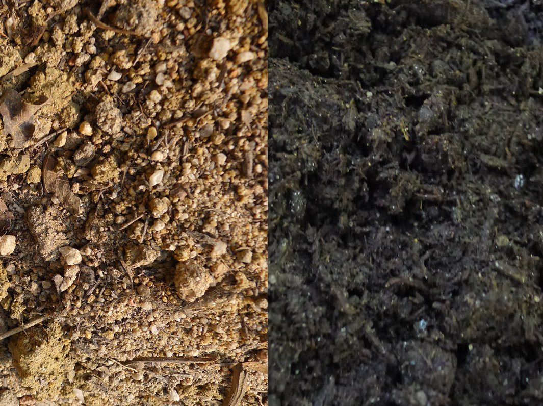 How To Revitalise Your Old Potting Mix