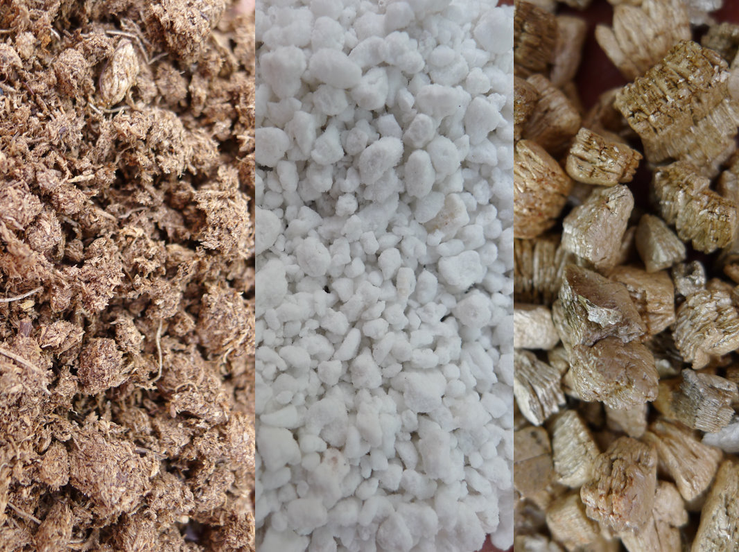 How To Revitalise Your Old Potting Mix