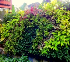 Tips for Setting Up Your First Highrise Vertical Garden