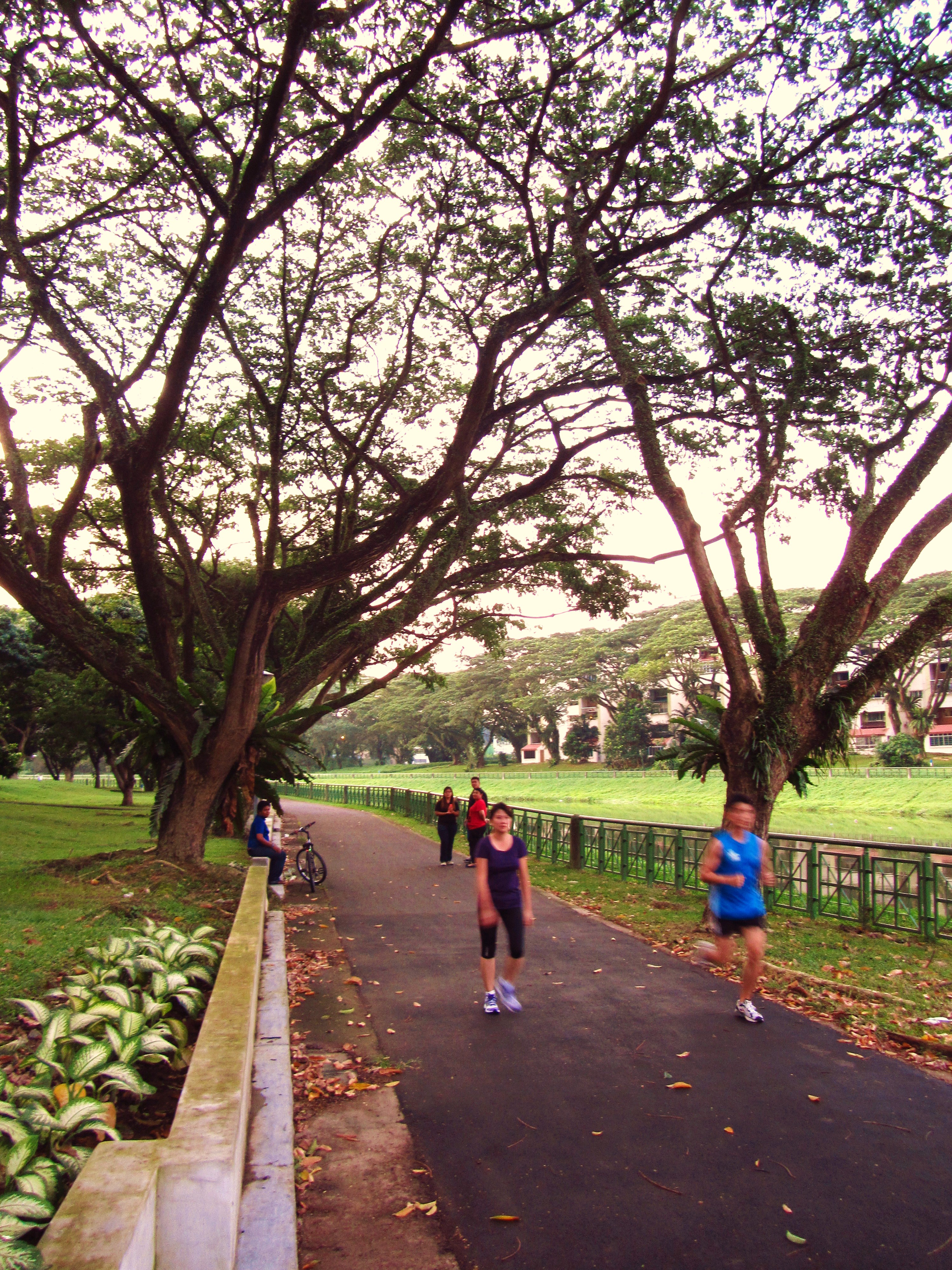 Explore The Less Trodden Path Along Kallang Park Connector