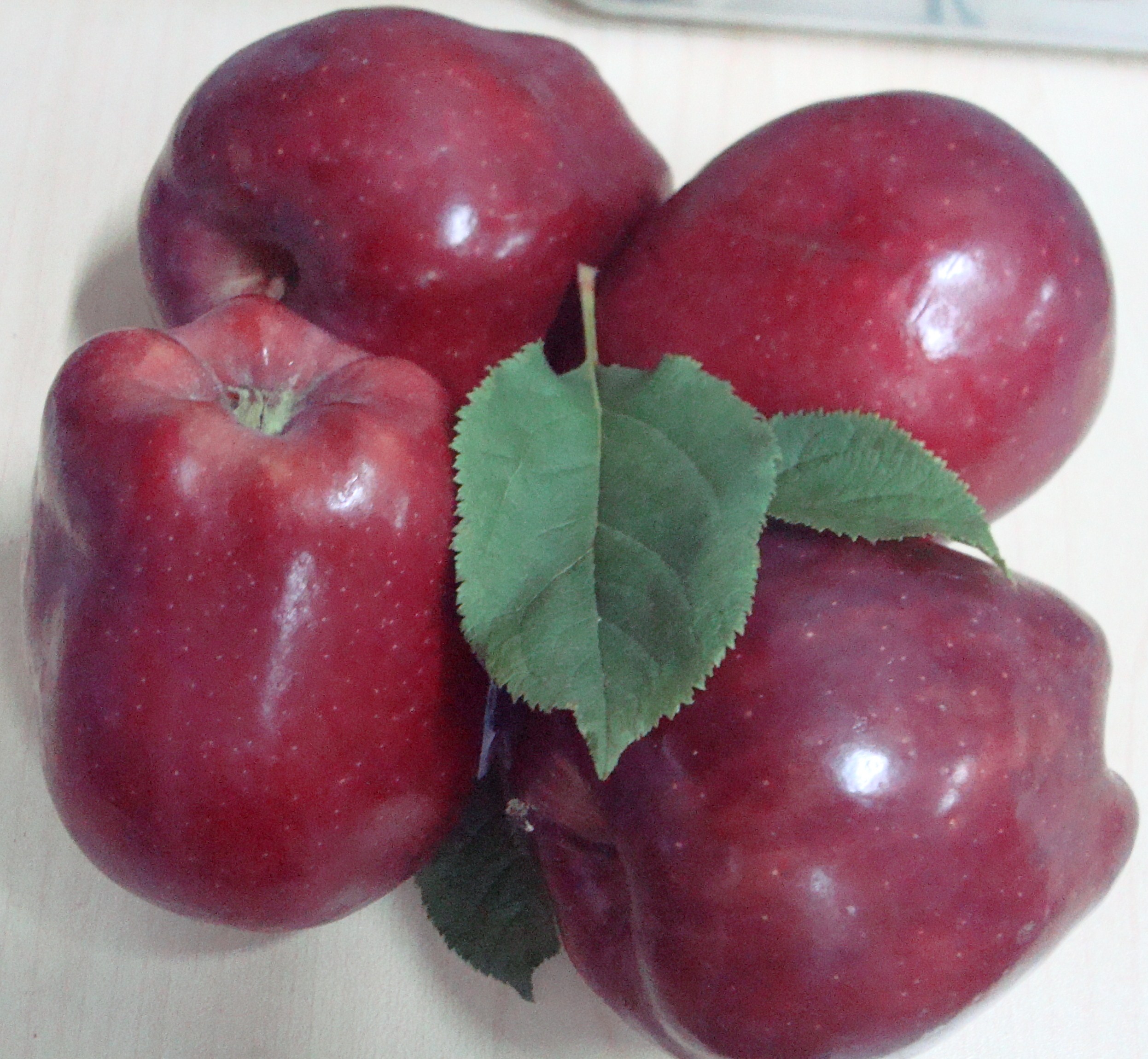 Grow An Apple Tree From Seed In Singapore?