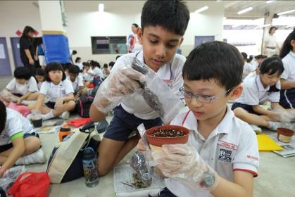 Planting kits for P3 Students