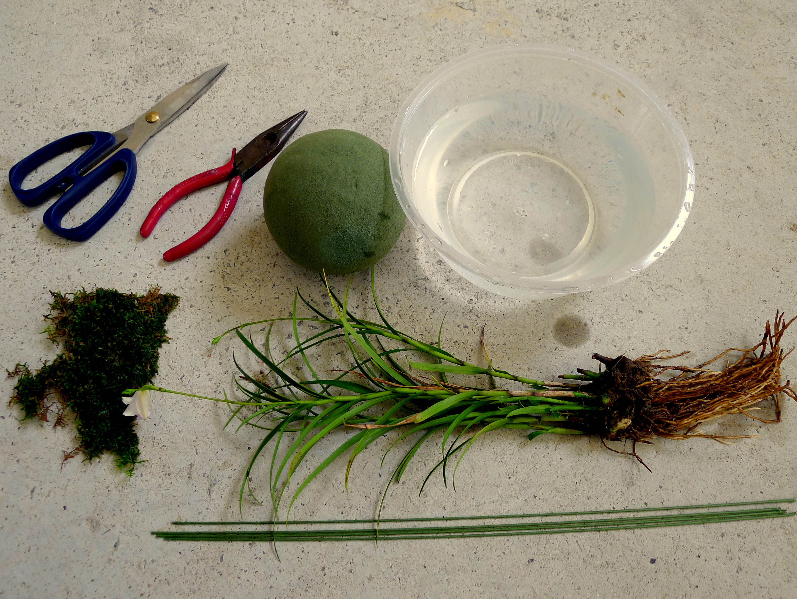 Making Your First Kokedama Moss Balls 