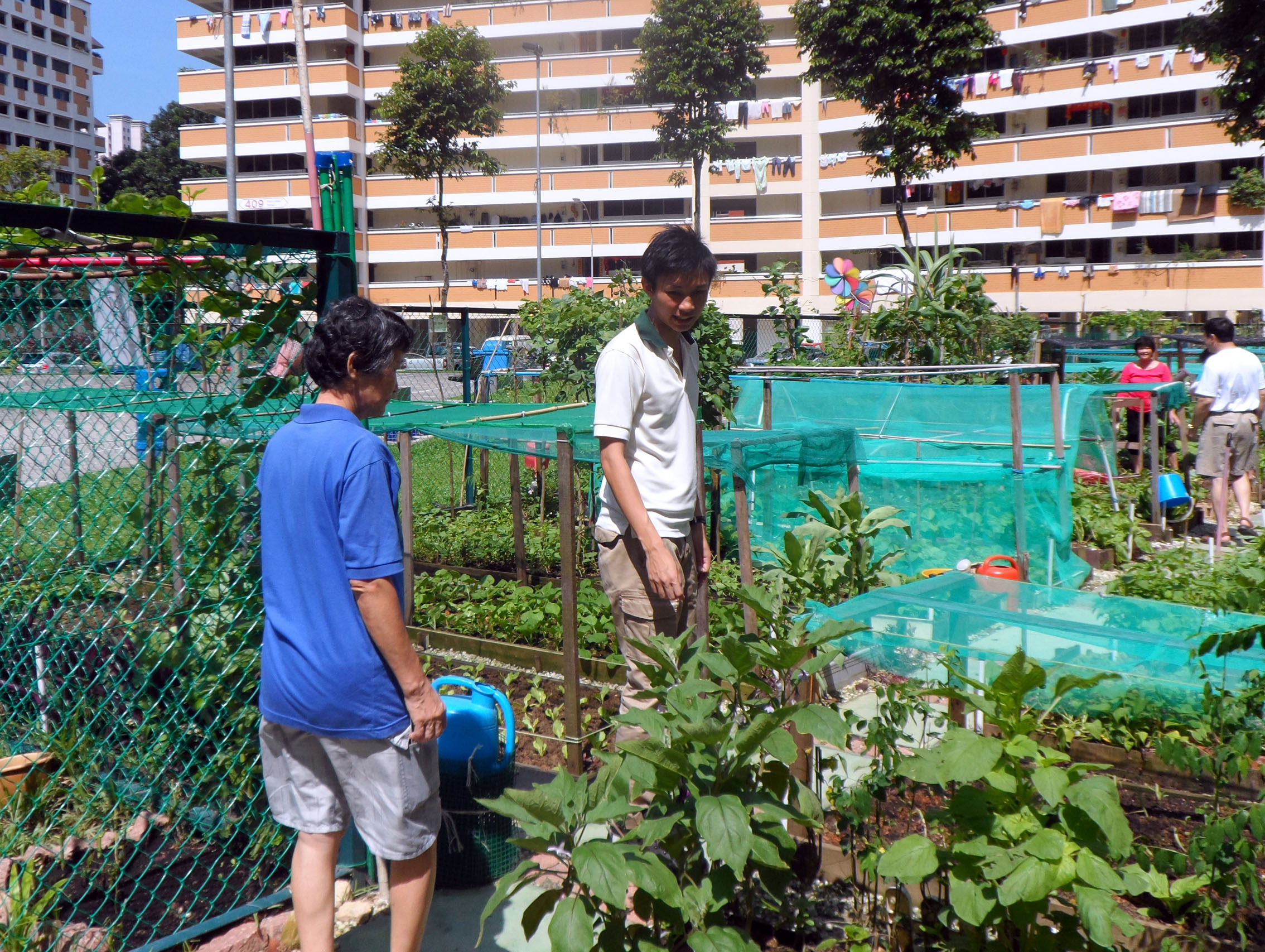 Promoting Community Gardening Is His Passion
