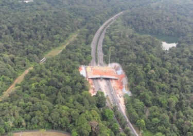 Eco-Link@BKE – Reconnecting Our Biodiversity