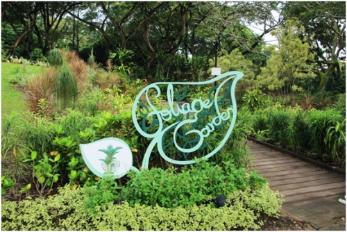 Foliage garden shop