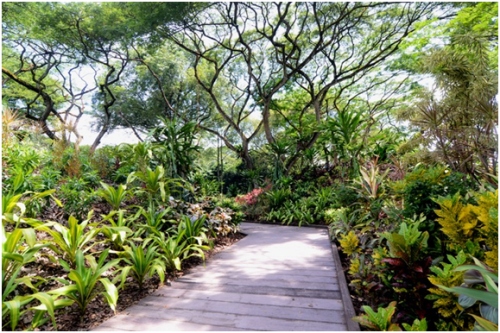 Foliage garden shop