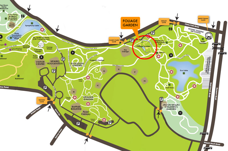 Singapore Botanic Gardens Map
