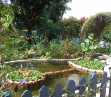 Hamzah's Eco Garden