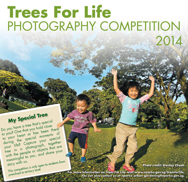 Students! Participate in the Trees for Life Photography Competition 2014!