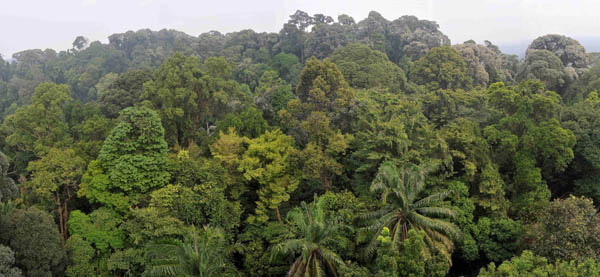 Restoring A Treasured Nature Reserve