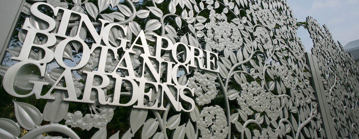 The Singapore Botanic Gardens: A Place Where Memories Are Created and Cherished