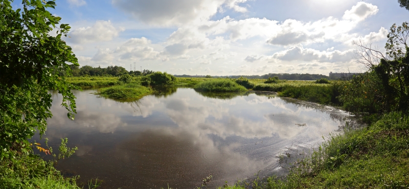 Let’s Go ‘Wild’ at Kranji Marshes