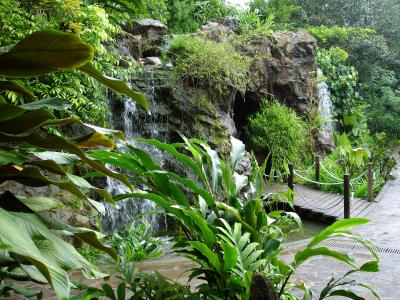 The Hidden Gardens of the Singapore Botanic Gardens