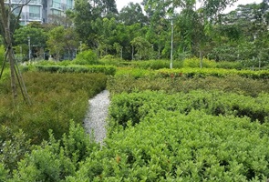 bgarden