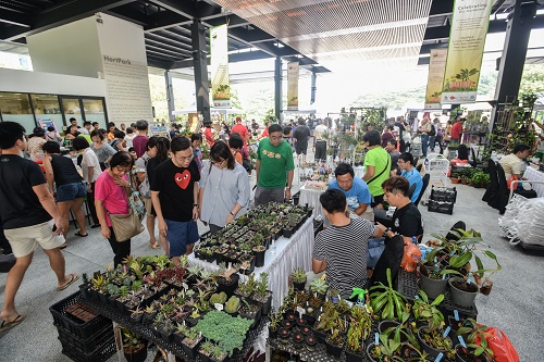 Six Finds at the Community Garden Festival