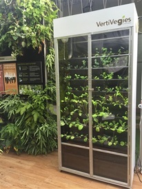 smallspace