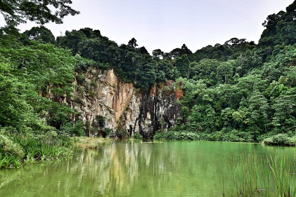Bukit Timah Nature Reserve Parks & Nature Reserves - Gardens, & Nature National Parks Board (NParks)