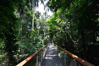Park 2