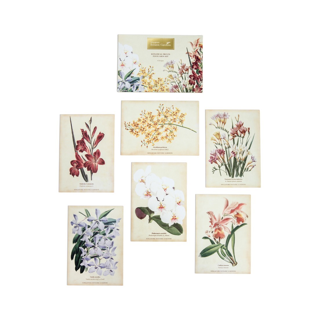Botanical Print Series