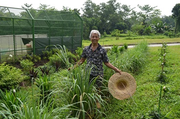 Panjang