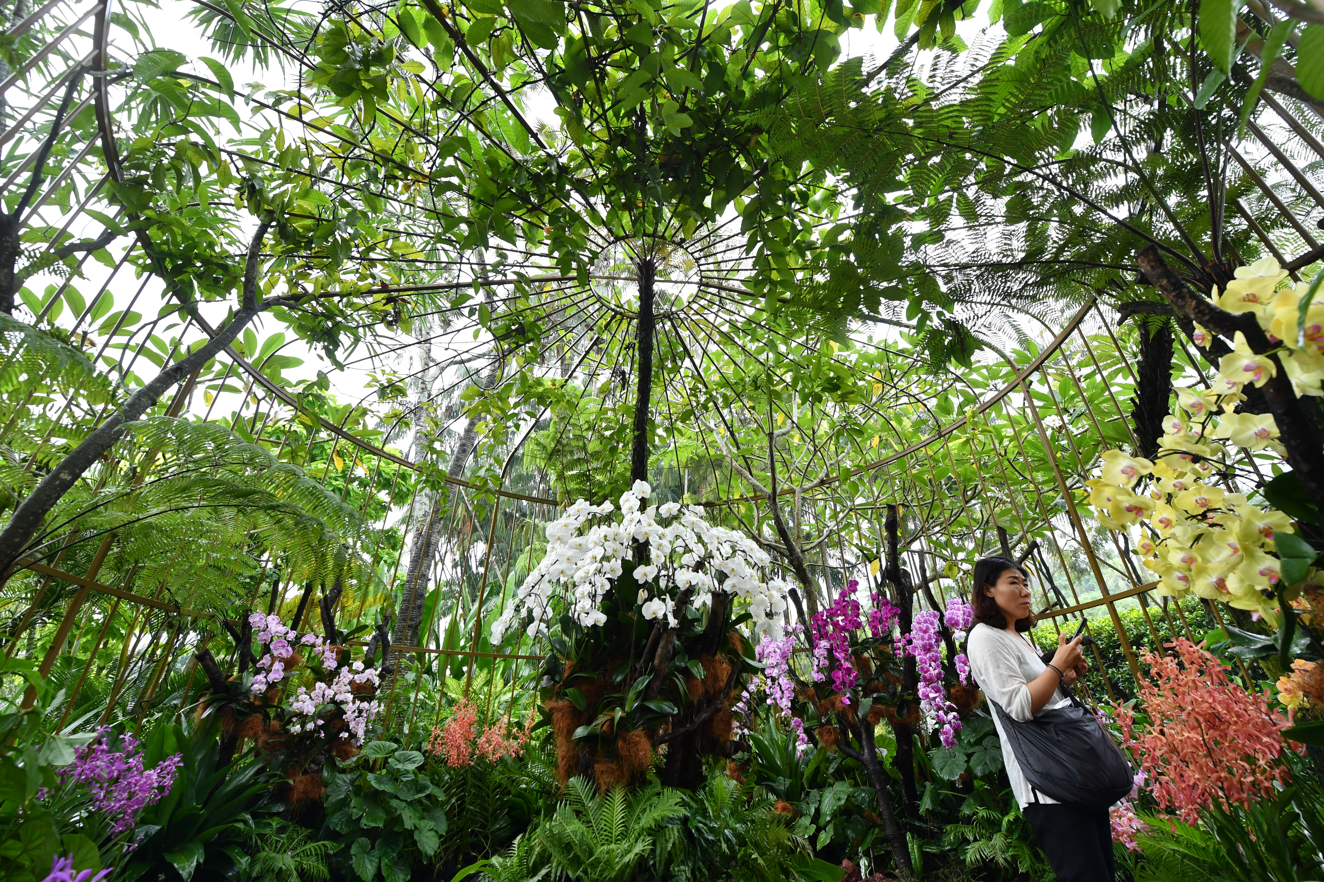 Journey Into a World of Colours at Singapore Garden Festival 