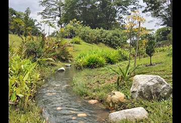 Neram streams