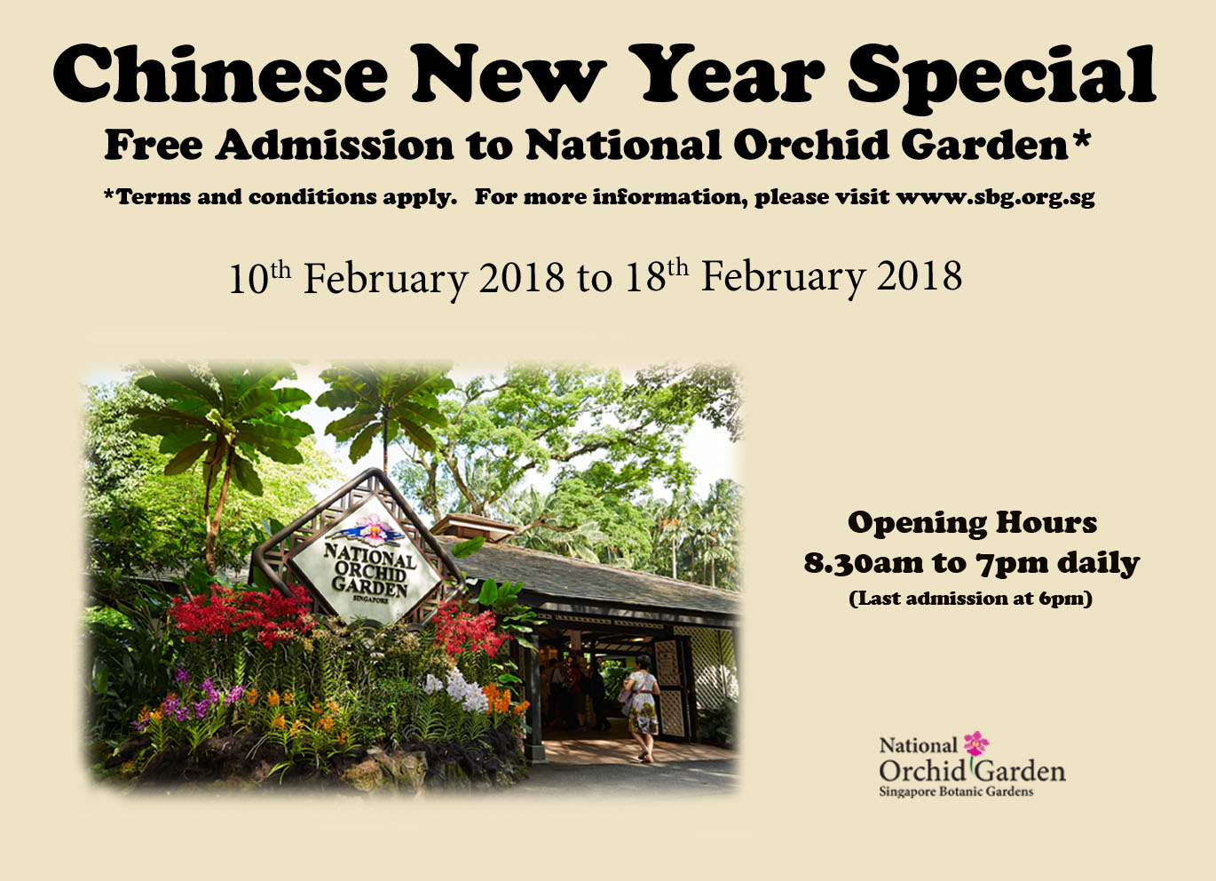 chinese new year special days
